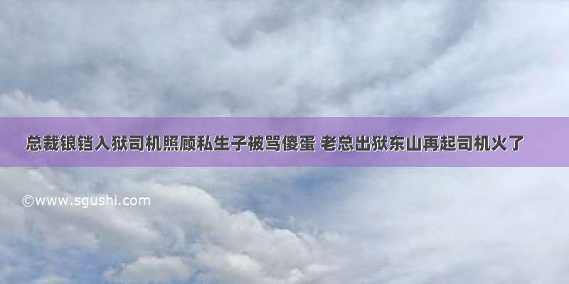 总裁锒铛入狱司机照顾私生子被骂傻蛋 老总出狱东山再起司机火了