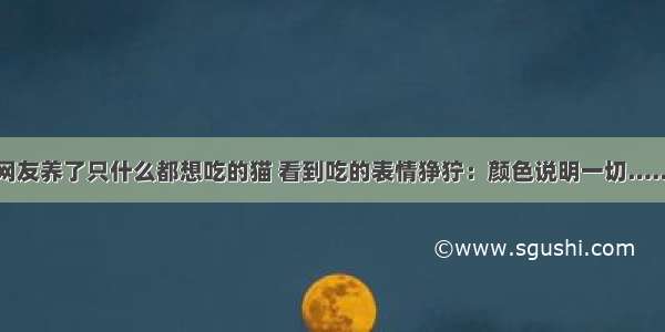 网友养了只什么都想吃的猫 看到吃的表情狰狞：颜色说明一切……