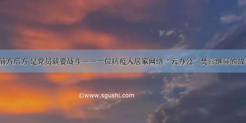 不管前方后方 是党员就要战斗——一位抗疫人居家网络“云办公”焚膏继晷的故事