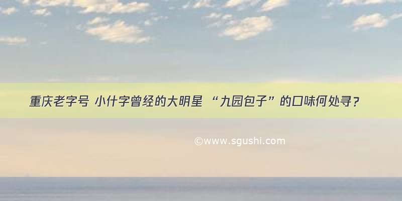 重庆老字号 小什字曾经的大明星 “九园包子”的口味何处寻？