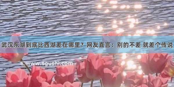 武汉东湖到底比西湖差在哪里？网友直言：别的不差 就差个传说