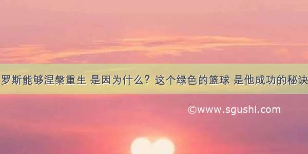 罗斯能够涅槃重生 是因为什么？这个绿色的篮球 是他成功的秘诀