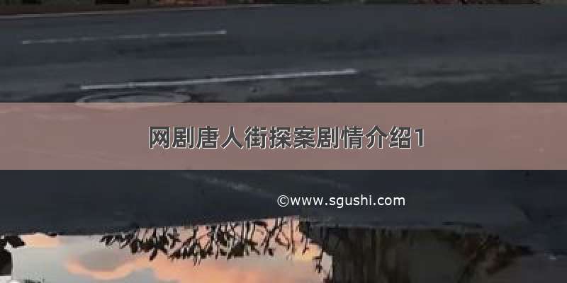 网剧唐人街探案剧情介绍1