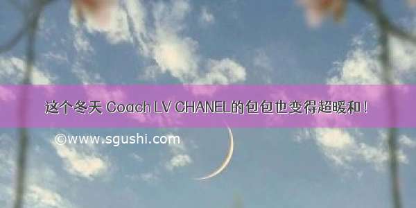 这个冬天 Coach LV CHANEL的包包也变得超暖和！