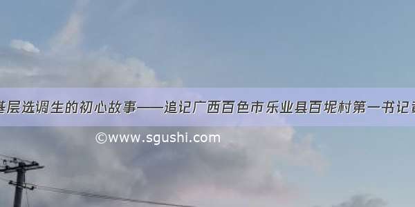 一位基层选调生的初心故事——追记广西百色市乐业县百坭村第一书记黄文秀