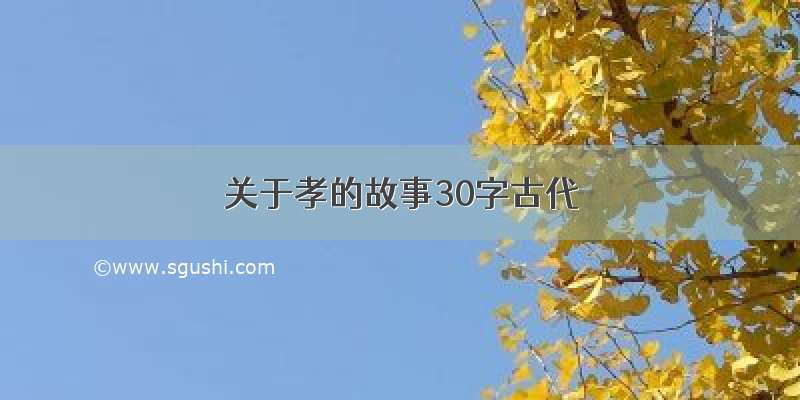 关于孝的故事30字古代