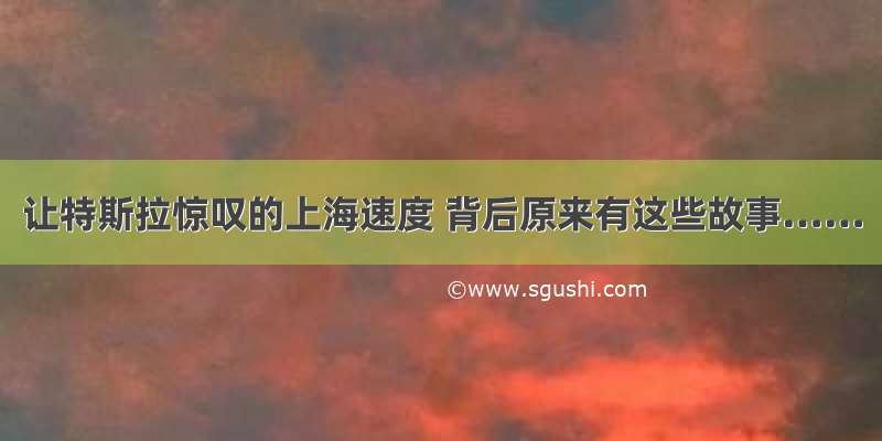 让特斯拉惊叹的上海速度 背后原来有这些故事……