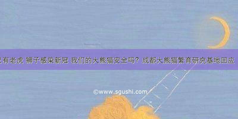 已有老虎 狮子感染新冠 我们的大熊猫安全吗？成都大熊猫繁育研究基地回应