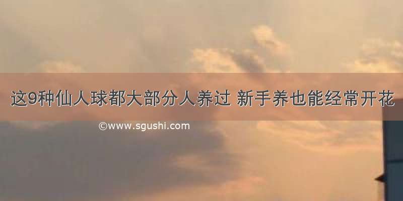 这9种仙人球都大部分人养过 新手养也能经常开花