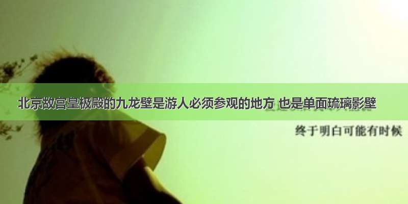 北京故宫皇极殿的九龙壁是游人必须参观的地方 也是单面琉璃影壁