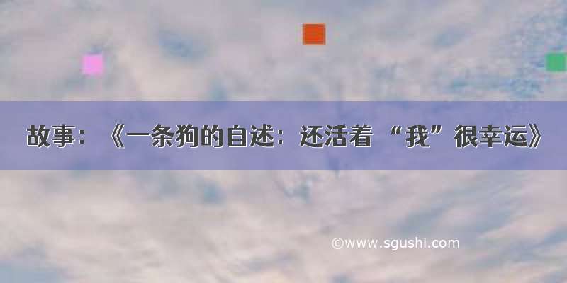 故事：《一条狗的自述：还活着 “我”很幸运》