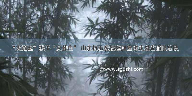 “火焰蓝”携手“天使白” 山东抗击疫情巡回宣讲走进省消防总队