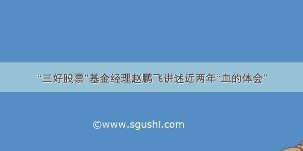 “三好股票”基金经理赵鹏飞讲述近两年“血的体会”