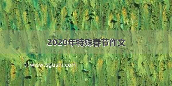 2020年特殊春节作文