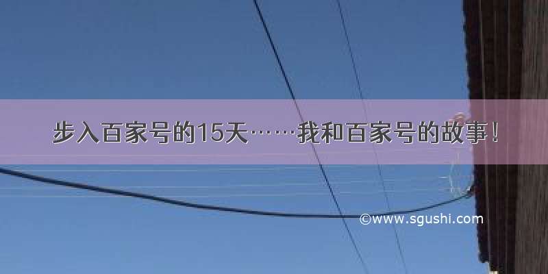 步入百家号的15天……我和百家号的故事！