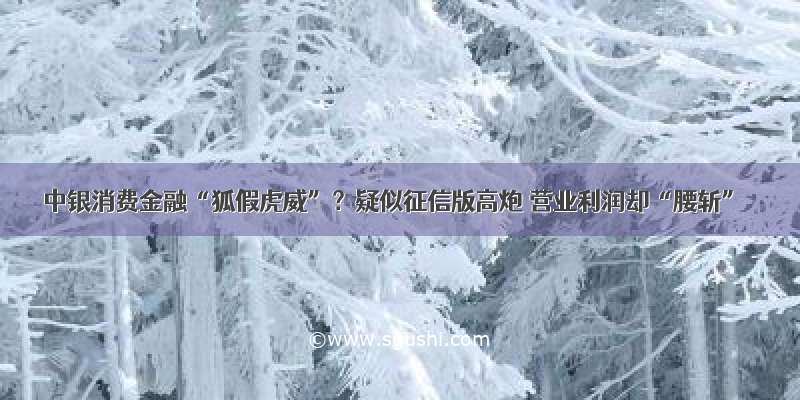 中银消费金融“狐假虎威”？疑似征信版高炮 营业利润却“腰斩”