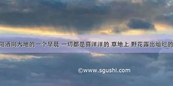 在一个太阳洒向大地的一个早晨 一切都是喜洋洋的 草地上 野花露出灿烂的笑脸 蝴蝶