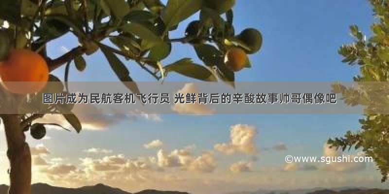 图片成为民航客机飞行员 光鲜背后的辛酸故事帅哥偶像吧