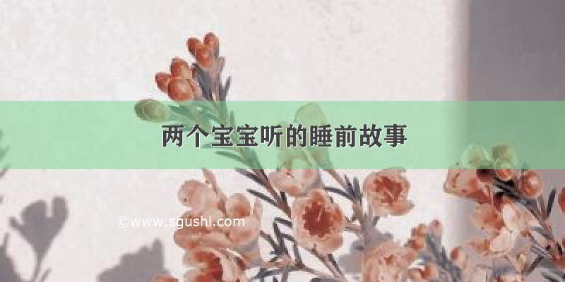 两个宝宝听的睡前故事