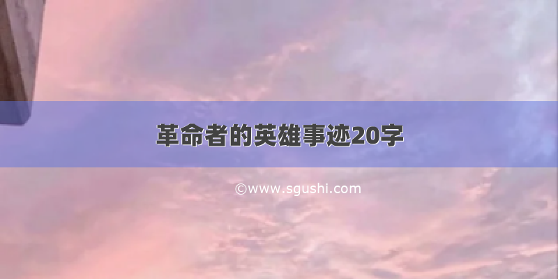 革命者的英雄事迹20字