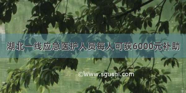 湖北一线应急医护人员每人可获6000元补助