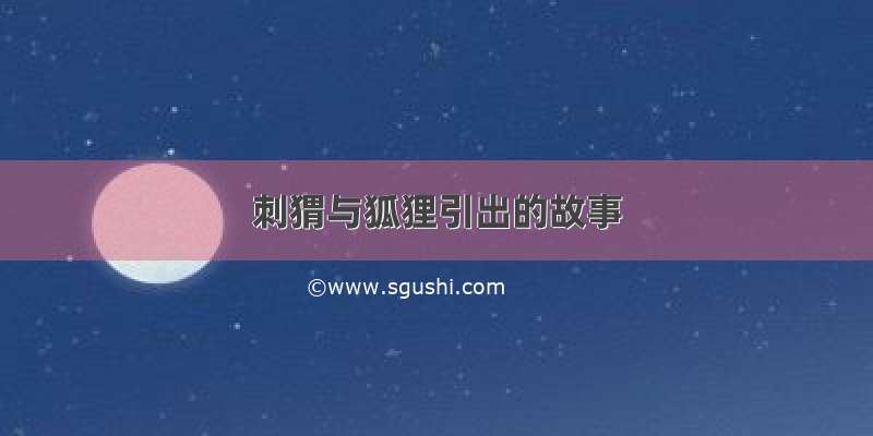 刺猬与狐狸引出的故事