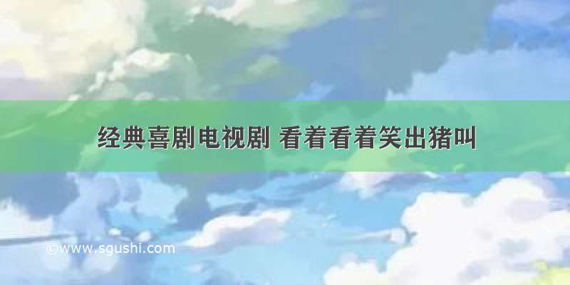 经典喜剧电视剧 看着看着笑出猪叫