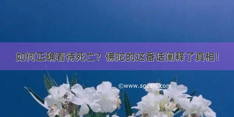 如何正确看待死亡？佛陀的这番话阐释了真相！