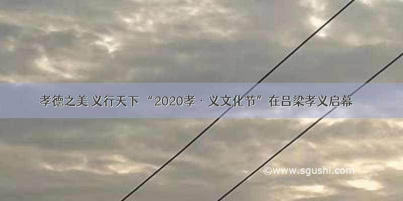 孝德之美 义行天下 “2020孝·义文化节”在吕梁孝义启幕