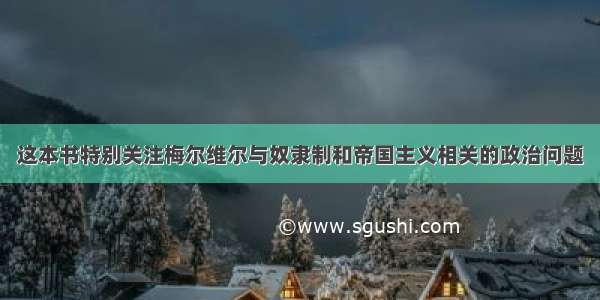 这本书特别关注梅尔维尔与奴隶制和帝国主义相关的政治问题