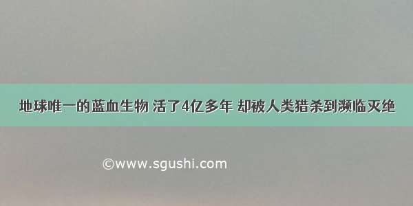 地球唯一的蓝血生物 活了4亿多年 却被人类猎杀到濒临灭绝