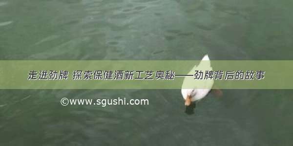 走进劲牌 探索保健酒新工艺奥秘——劲牌背后的故事