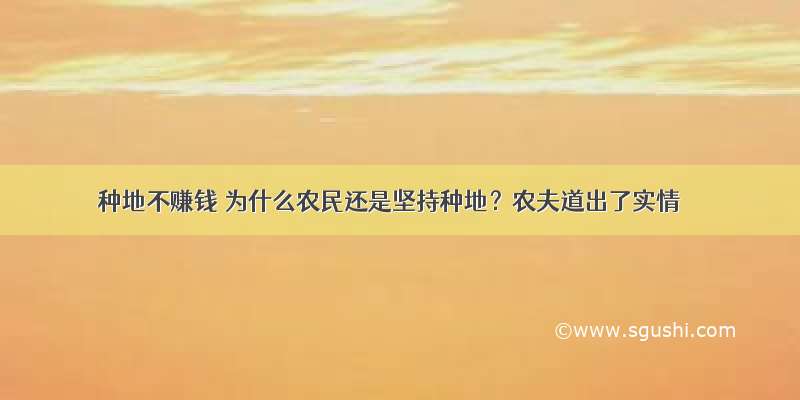 种地不赚钱 为什么农民还是坚持种地？农夫道出了实情