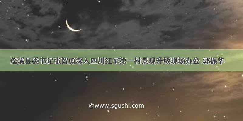 蓬溪县委书记张智勇深入四川红军第一村景观升级现场办公.郭振华