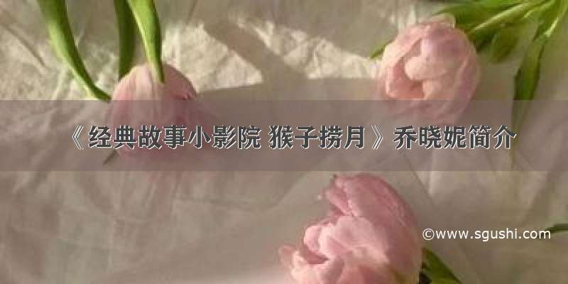 《经典故事小影院 猴子捞月》乔晓妮简介