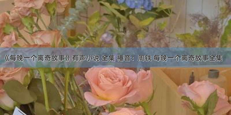 《每晚一个离奇故事》有声小说 全集 播音：周铁 每晚一个离奇故事全集