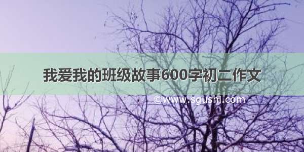 我爱我的班级故事600字初二作文