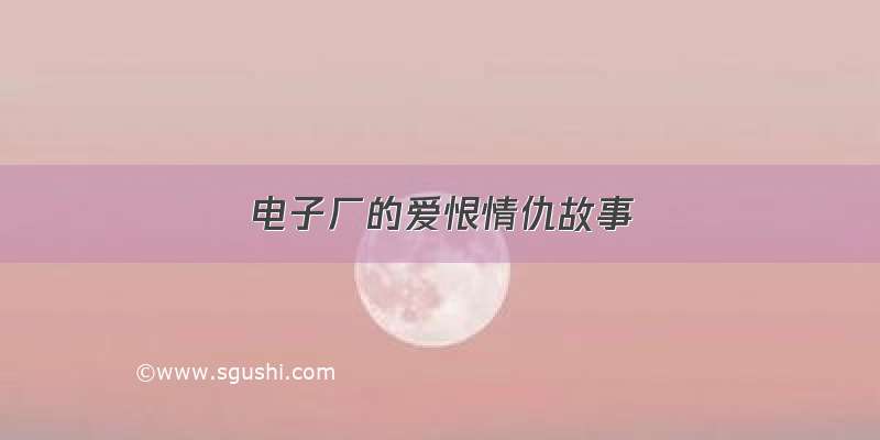 电子厂的爱恨情仇故事