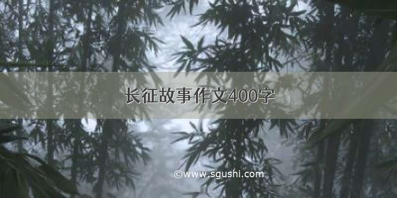 长征故事作文400字