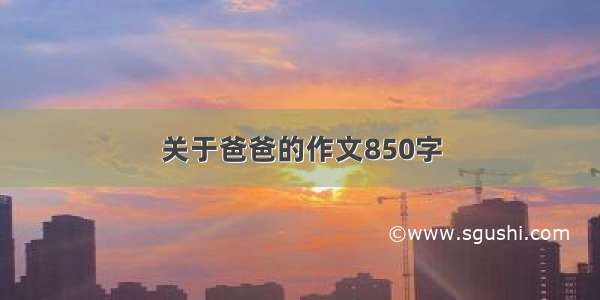 关于爸爸的作文850字