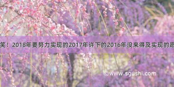 搞笑！2018年要努力实现的2017年许下的2016年没来得及实现的愿望