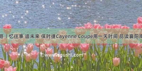 解锁小马路丨忆往事 追未来 保时捷Cayenne Coupé用一天时间 品读襄阳南路的故事