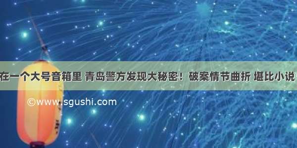 在一个大号音箱里 青岛警方发现大秘密！破案情节曲折 堪比小说！