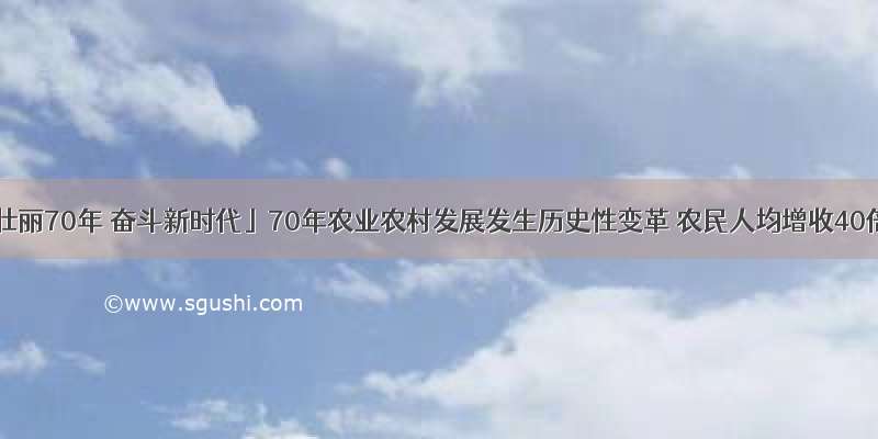 「壮丽70年 奋斗新时代」70年农业农村发展发生历史性变革 农民人均增收40倍