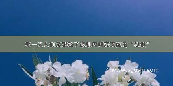 那一天人们又想起了被肌肉萌宠支配的“恐惧”