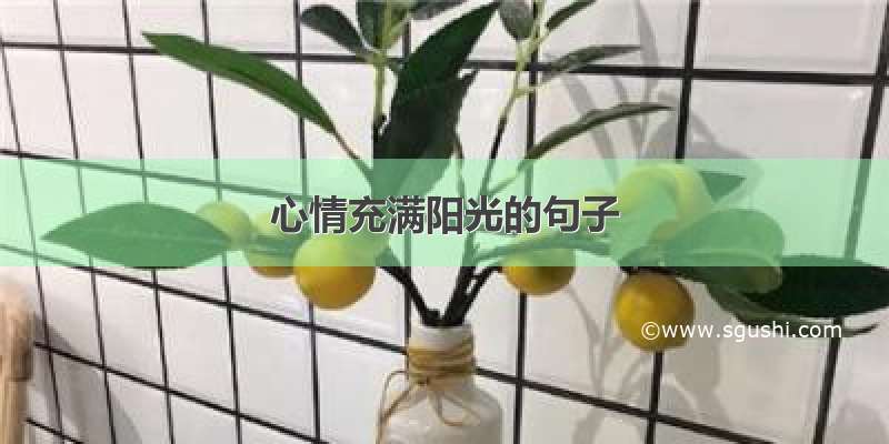 心情充满阳光的句子