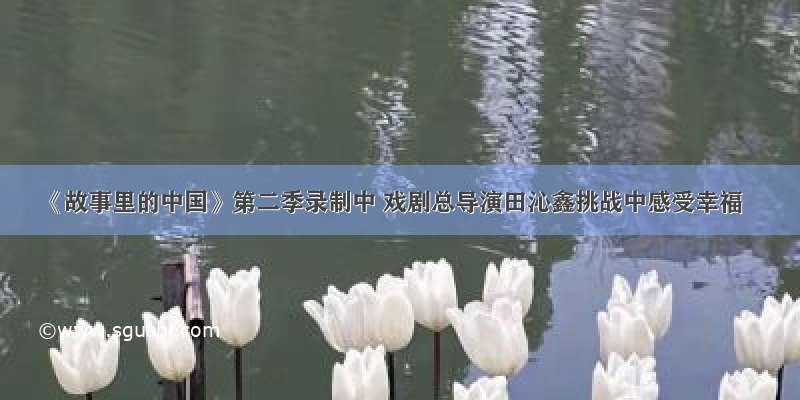 《故事里的中国》第二季录制中 戏剧总导演田沁鑫挑战中感受幸福