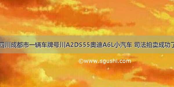 四川成都市一辆车牌号川A2DS55奥迪A6L小汽车 司法拍卖成功了