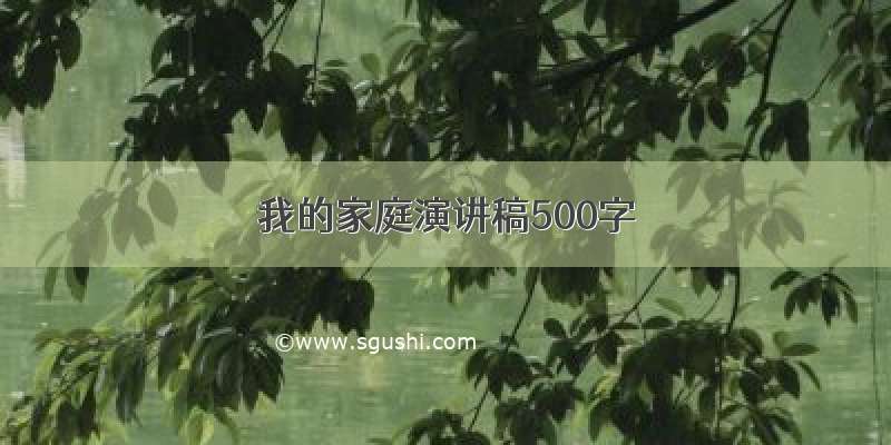 我的家庭演讲稿500字