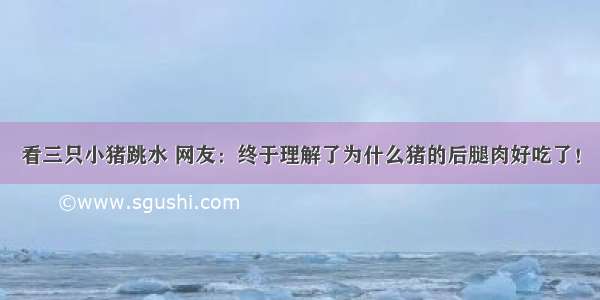 看三只小猪跳水 网友：终于理解了为什么猪的后腿肉好吃了！